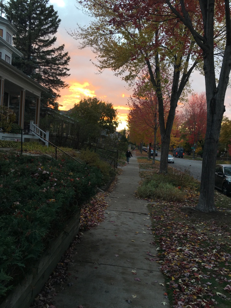Autumnal view down street, perhaps Halloween 2021.